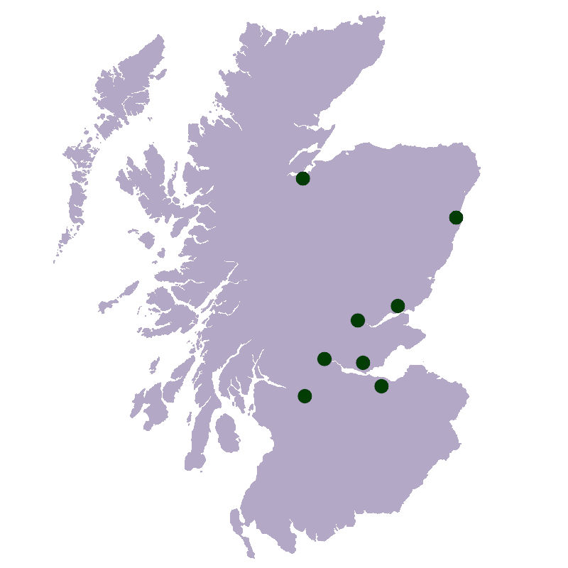 City Tartans Category